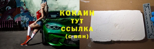 винт Богданович