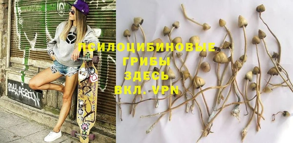 винт Богданович