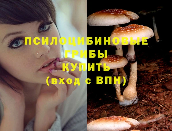 гашишное масло Богородск