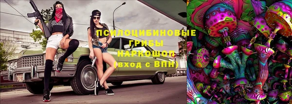 винт Богданович