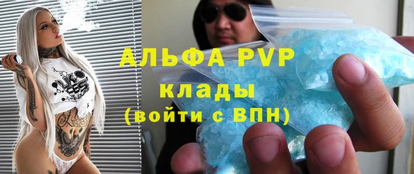 винт Богданович