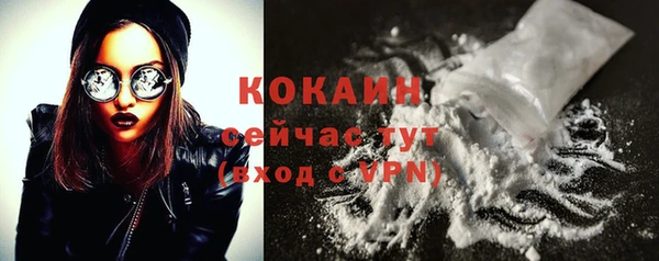 винт Богданович