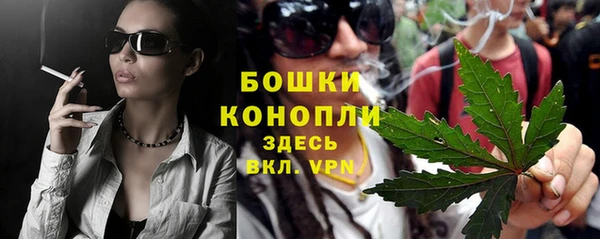 винт Богданович