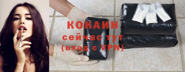 винт Богданович