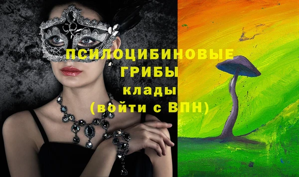 винт Богданович