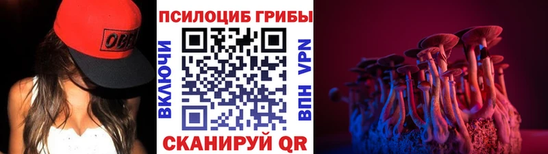 Купить где  Томилино  Галлюциногенные грибы MAGIC MUSHROOMS 
